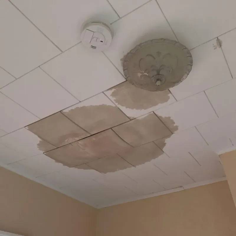 Ceiling Water Damage Repair in Mayer, AZ